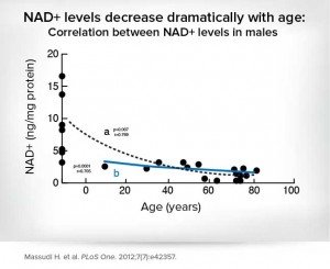 NAD Levels chart